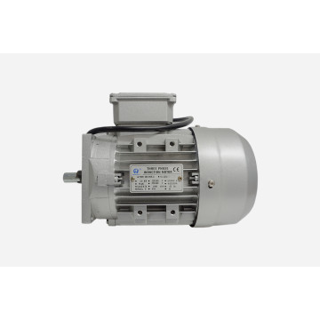 Elektromotor Doppelscherenhebebühne